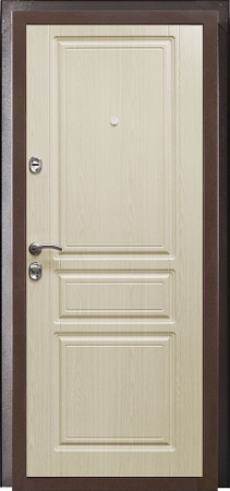 Металлическая дверь ПРАКТИК РАЦИОНАЛИСТ