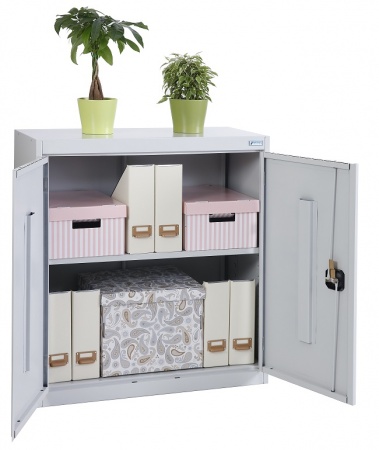 Шкаф архивный ШХА/2-900(50)