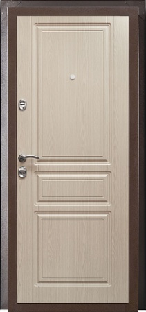 Металлическая дверь ПРАКТИК РАЦИОНАЛИСТ