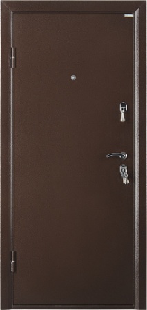 Металлическая дверь ПРАКТИК РАЦИОНАЛИСТ