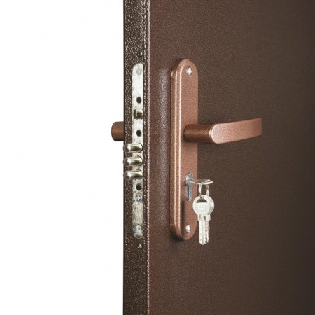 Металлическая дверь СПЕЦ  PRO BMD