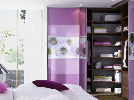 Двери-купе со вставками тонированных стёкол и фотопечати